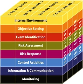 COSO ERM Cube