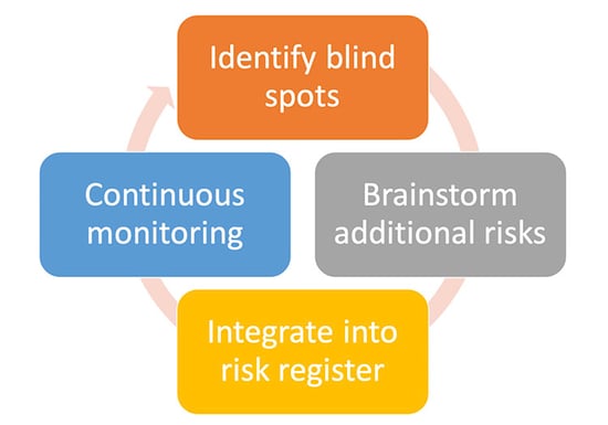 Forward Looking Risk Register - Tony Martin-Vegue
