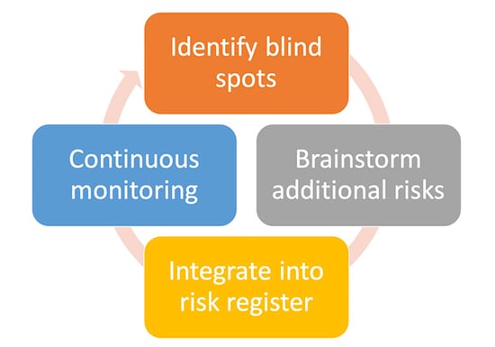 Forward Looking Risk Register - Tony Martin-Vegue