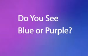 Blue or Purple - It Depends