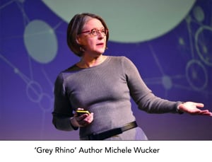 Gray Rhino Author Michele Wucker 2