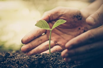 How to Start a FAIR Program - Start Small - Growing a Plant