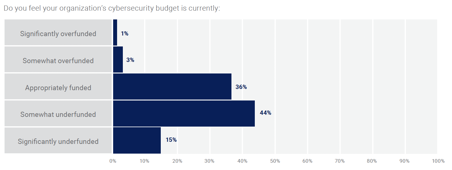 ISACA Report 2024 - Budgets
