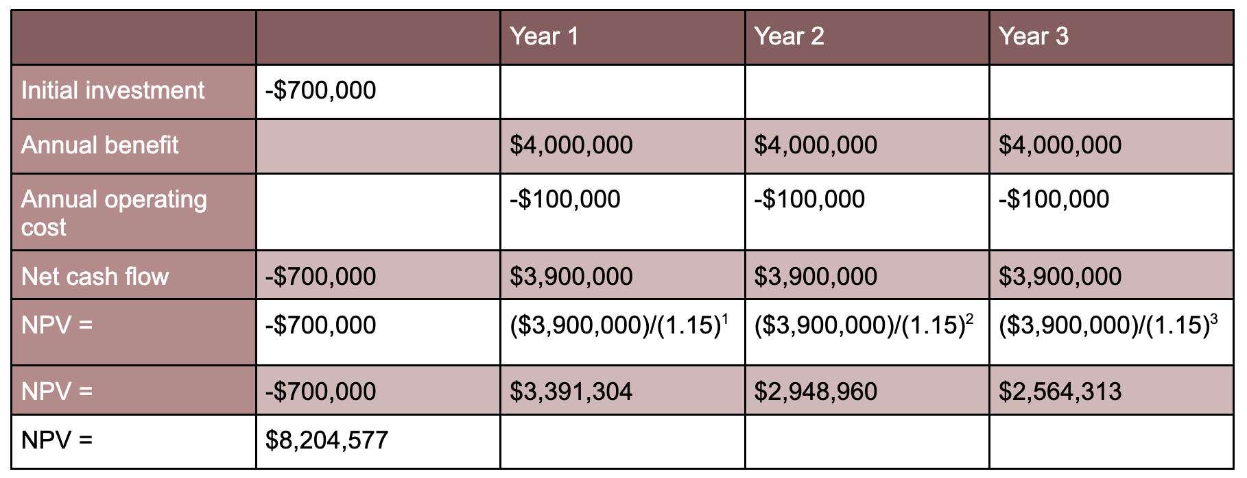 Laura Voicu - Net Present Value