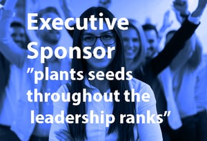 Team Leader - Executive Sponsor - How to Win Buy-in for a FAIR Quantitative Risk Management Program 2