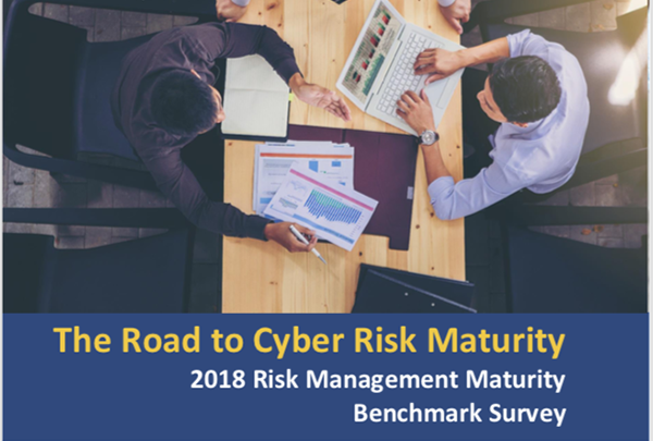 FAIR Institute 2018 Risk Maturity Survey 2