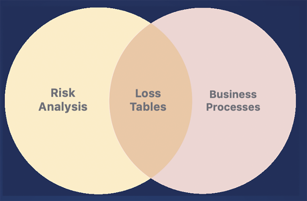 Video: How to Rapidly Triage Issues with FAIR to Focus on What Matters Most (FAIRCON2020)