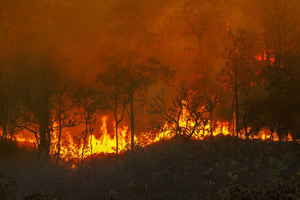 FAIR for Government Resilience: Sonoma County, CA, Quantifies Disaster Risk